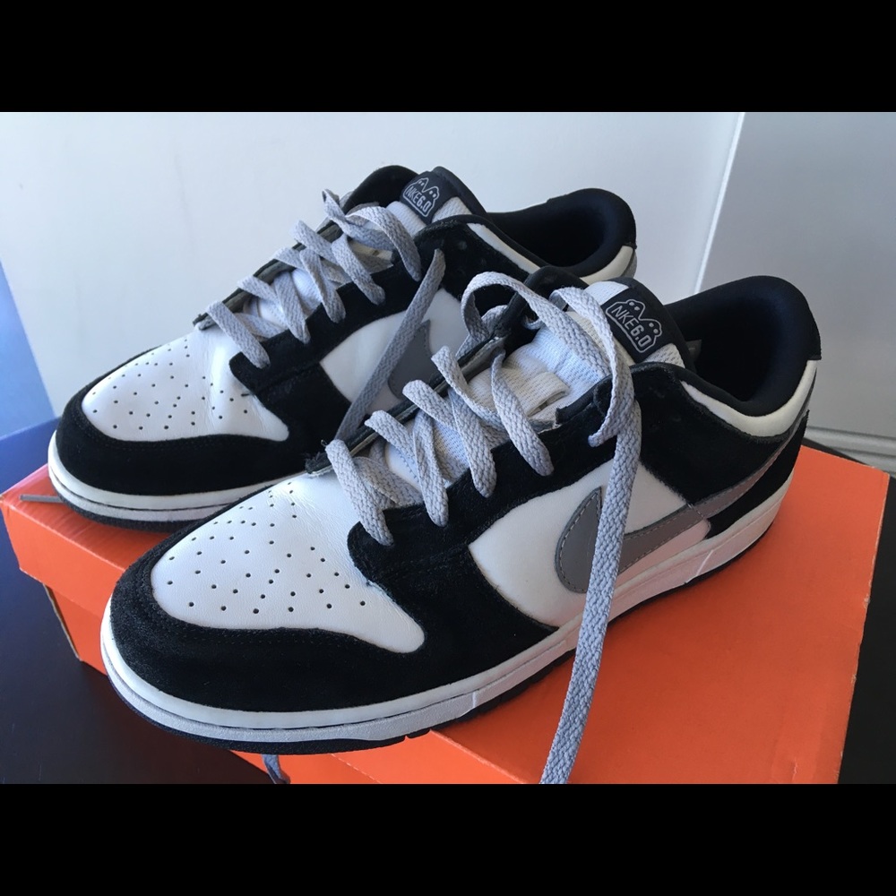 Men’s Nike Dunk 6.0
